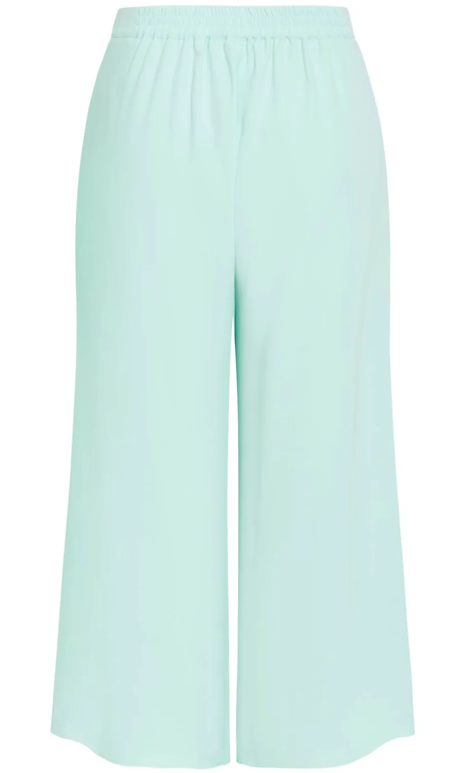 Abbie Fully Lined Wide Leg Pant - spearmint