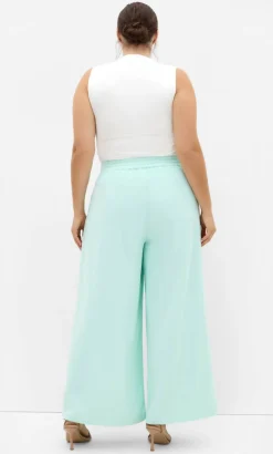 Abbie Fully Lined Wide Leg Pant - spearmint