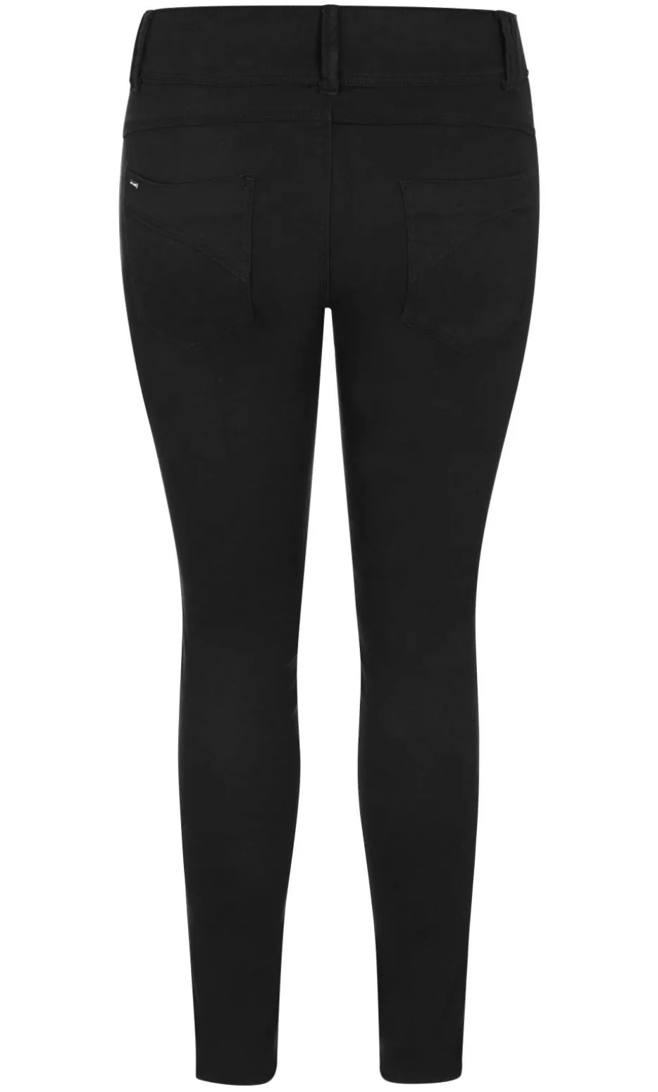 Asha Fit Skinny Leg Regular Jean - black