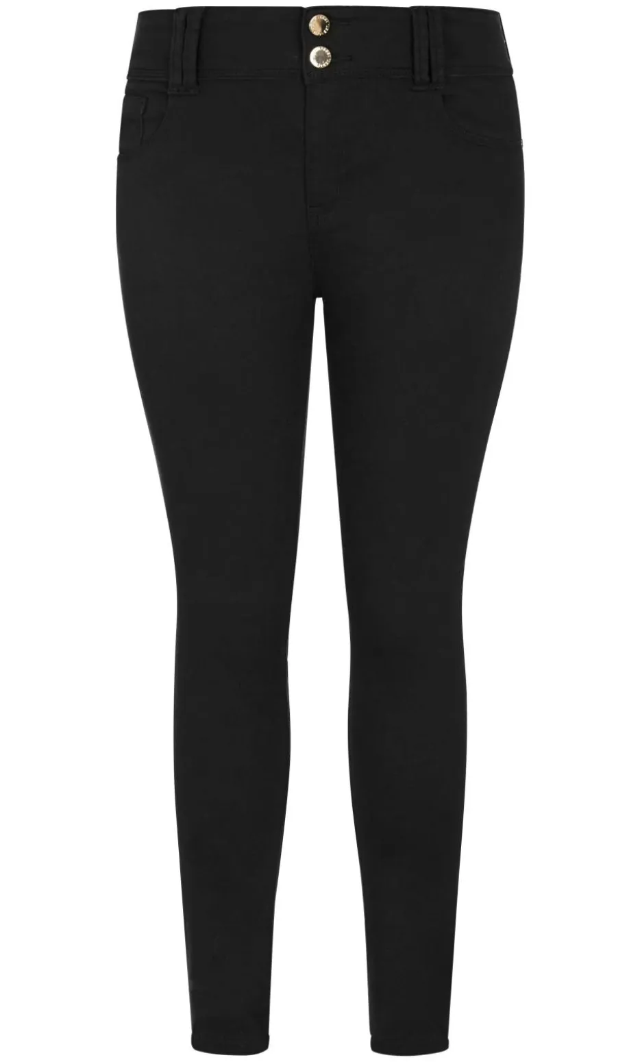 Asha Fit Skinny Leg Regular Jean - black
