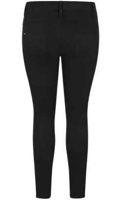 Asha Fit Skinny Leg Short Jean - black