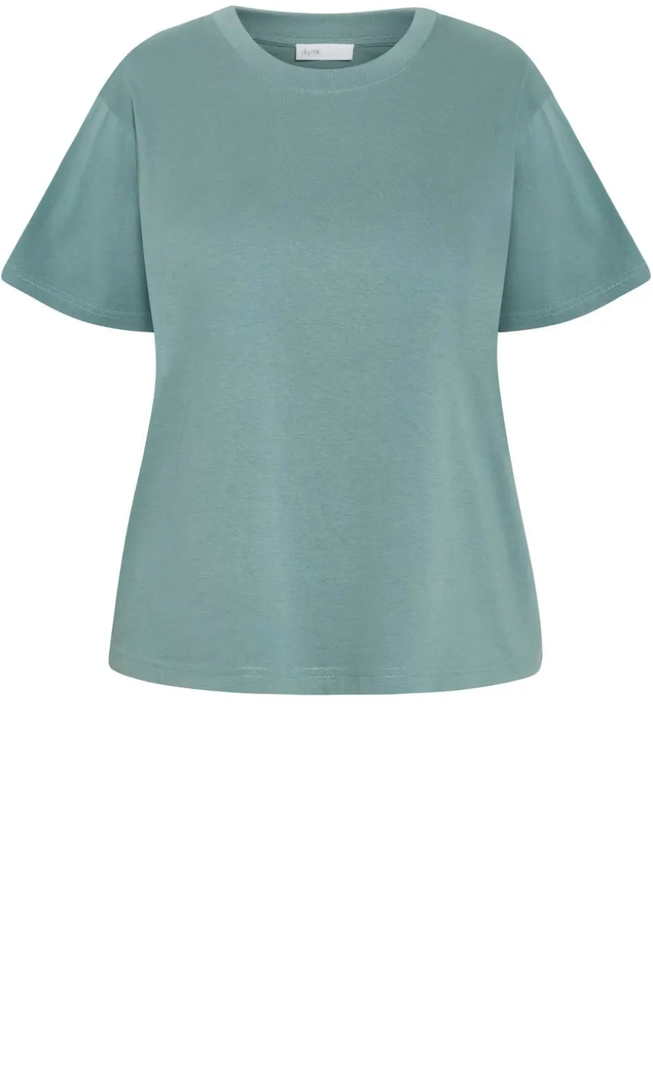 Oversized Crew Neck Tee - dusty sage