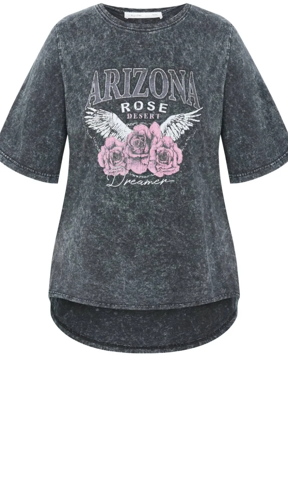 Ryan Arizona Print Tee - grey wash