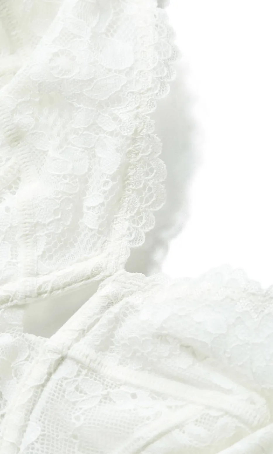 Signature Underwire Bra - ivory